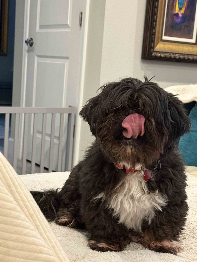 Photograph of Taz