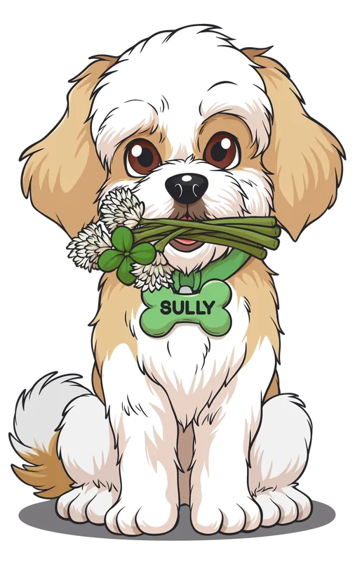 Illustration of Sully