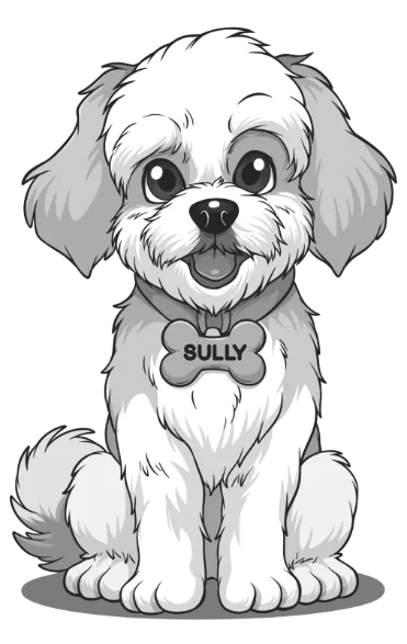 Illustration: Sully sitting at attention, wearing a bone-shaped tag that reads SULLY.