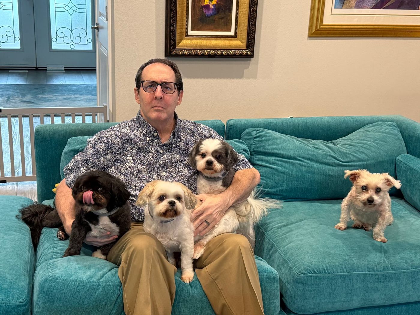 Phil Weiss sitting on a teal couch with the four real D-Squad dogs